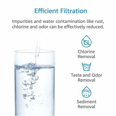 300GPD Capacité de remplacement de filtre à eau en plastique pour les modèles 4204490 en plastique